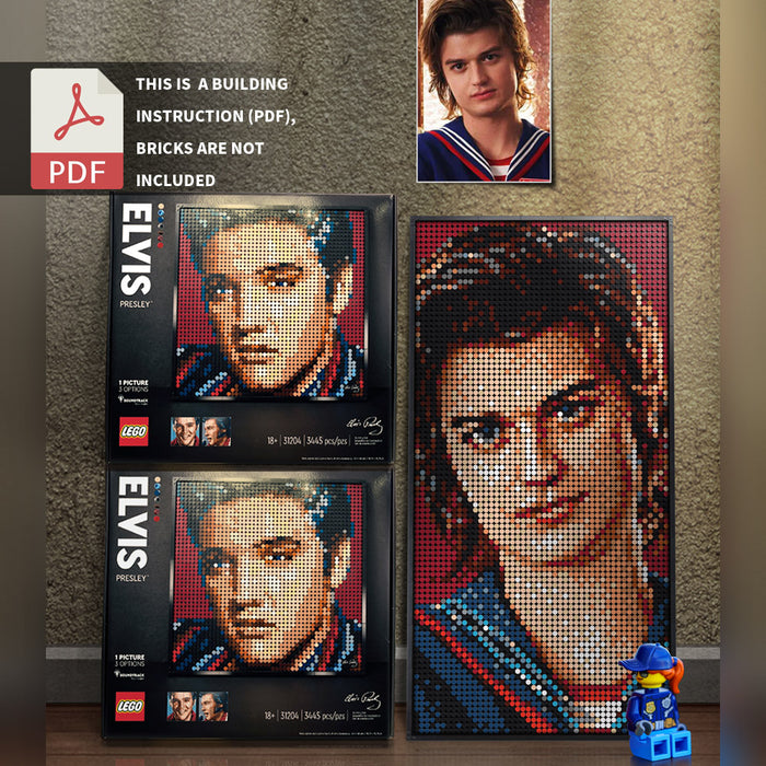31204-Steve Harrington