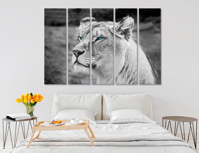 Lioness Canvas Print #8102