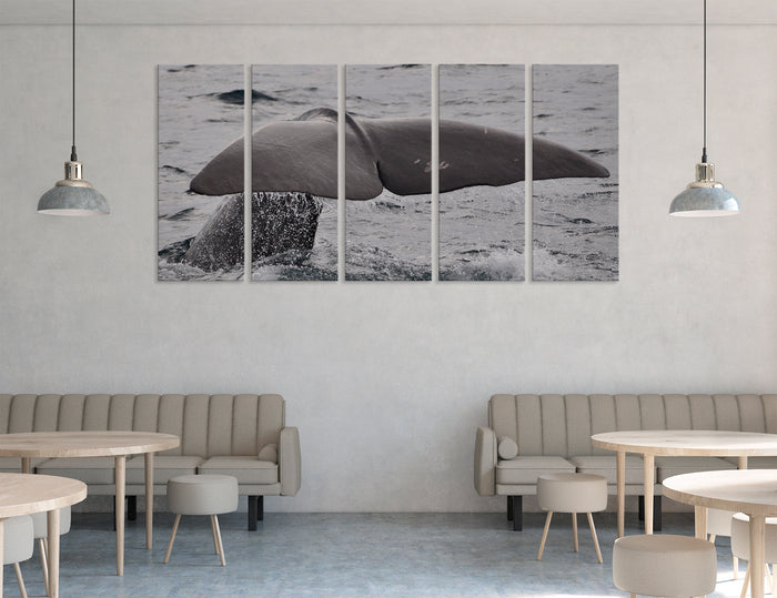 Whale Tail Canvas Print #8143