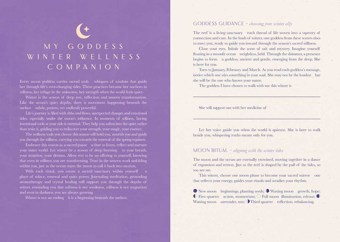 2027 Moon Goddess Planner Calendar - Northern Hemisphere by Nicci  Garaicoa