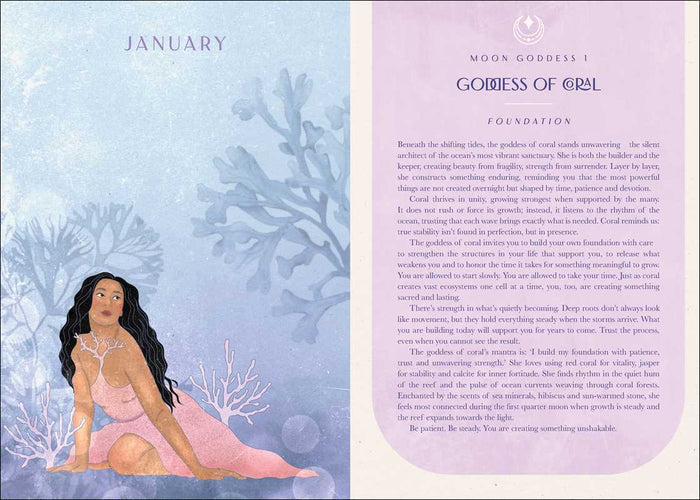 2027 Moon Goddess Planner Calendar - Northern Hemisphere by Nicci  Garaicoa
