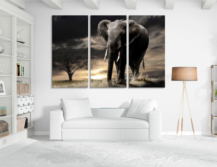 African Nature Canvas Print #8074
