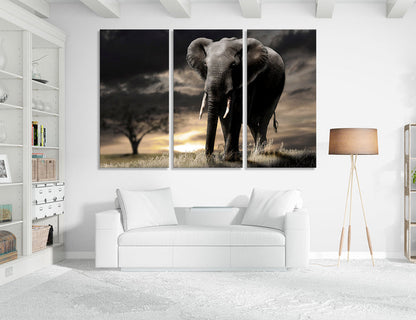 African Nature Canvas Print #8074