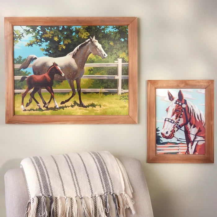 American Paint Framed Wall Art