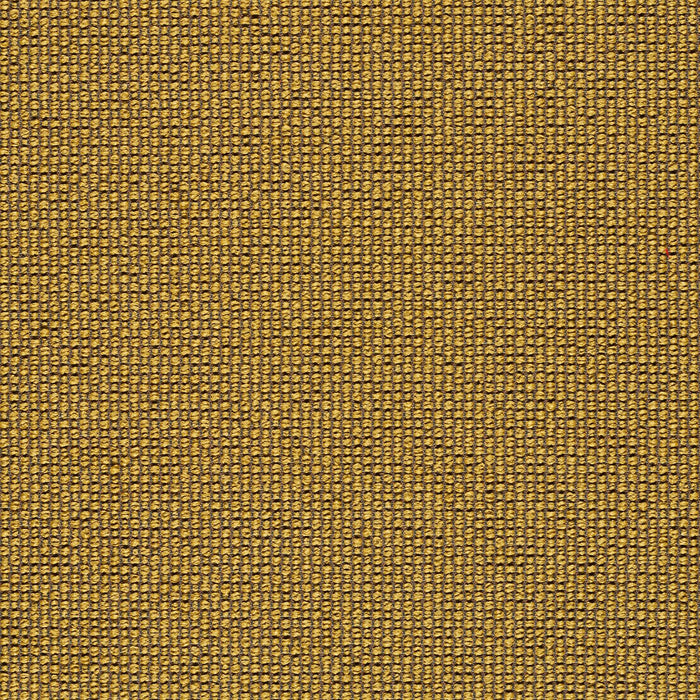 Ample - Charge - 4034 - 17 - Half Yard