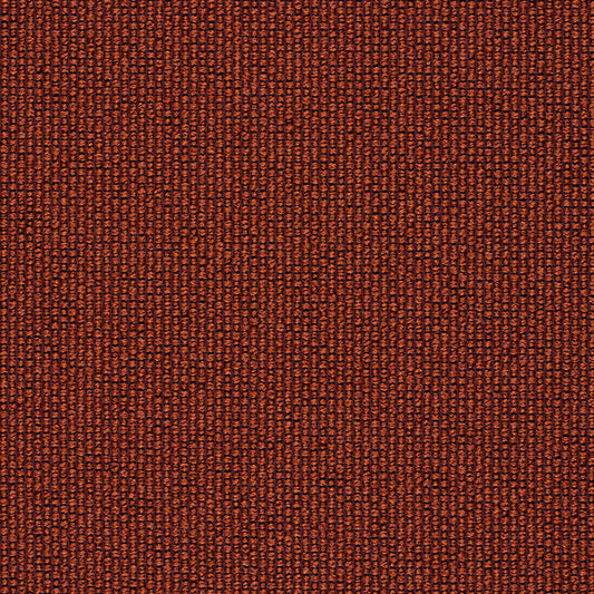Ample - Conductor - 4034 - 22 - Half Yard