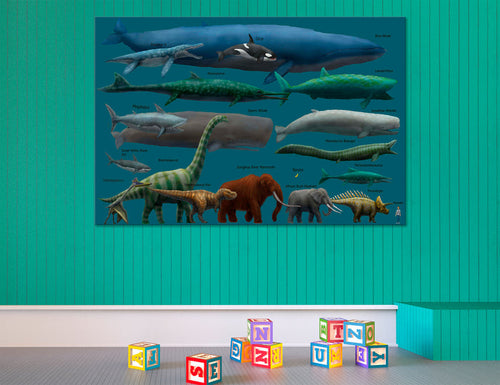 Animal Size Comparison Canvas Print #8084