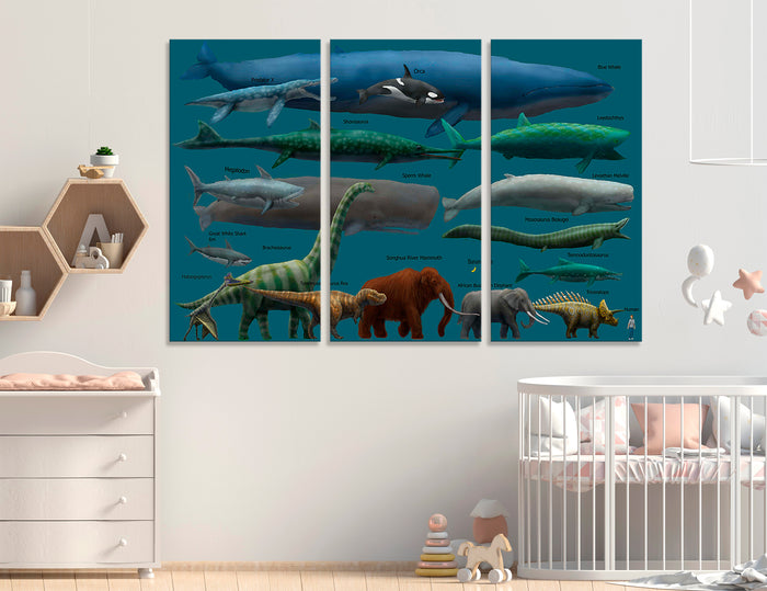 Animal Size Comparison Canvas Print #8084