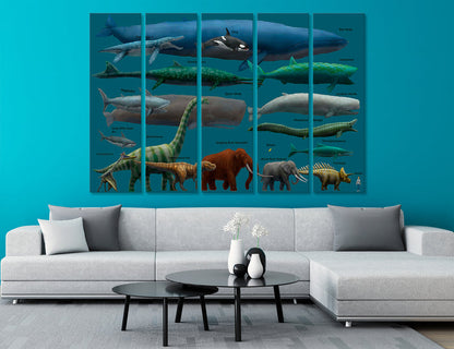 Animal Size Comparison Canvas Print #8084