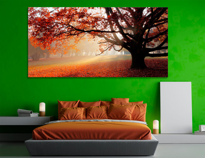 Autumn Tree Canvas Print #7216
