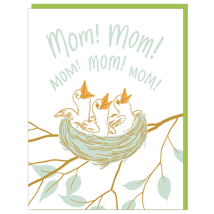Baby Birds Mother's Day Card