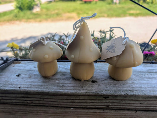 Beeswax Mushroom Candles