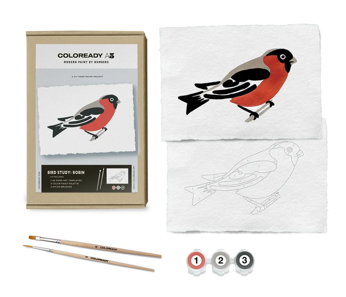 BIRD STUDY : ROBIN KIT