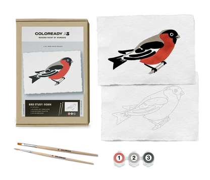 BIRD STUDY : ROBIN KIT