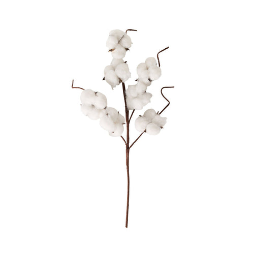 Bloomery Cotton Stem 43cm