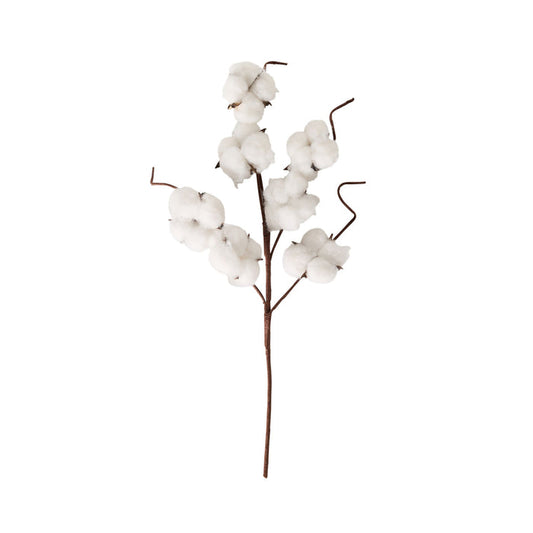 Bloomery Cotton Stem 43cm