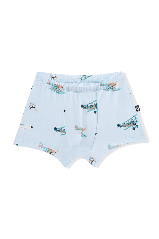 Product photo of the Briefs in Take Off