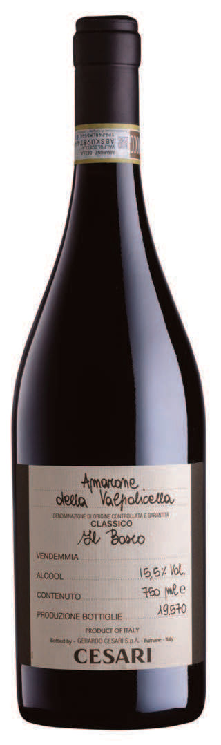 Cesari Il Bosco Amarone 2019