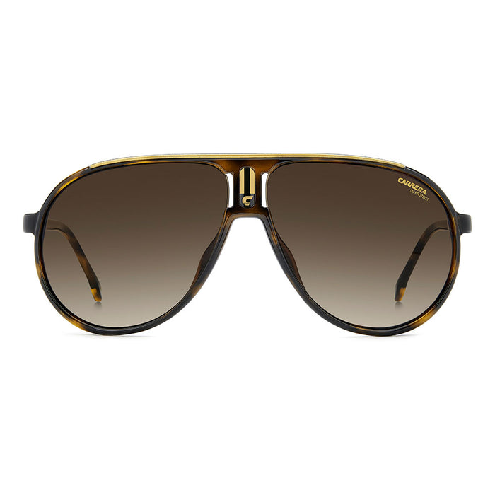 Brown Havana / No