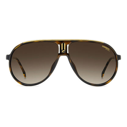 Brown Havana / No