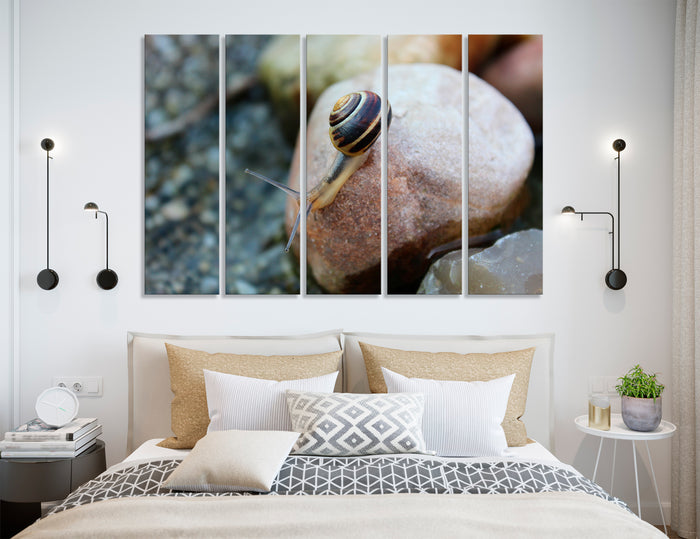 Cochlea Canvas Print #8108