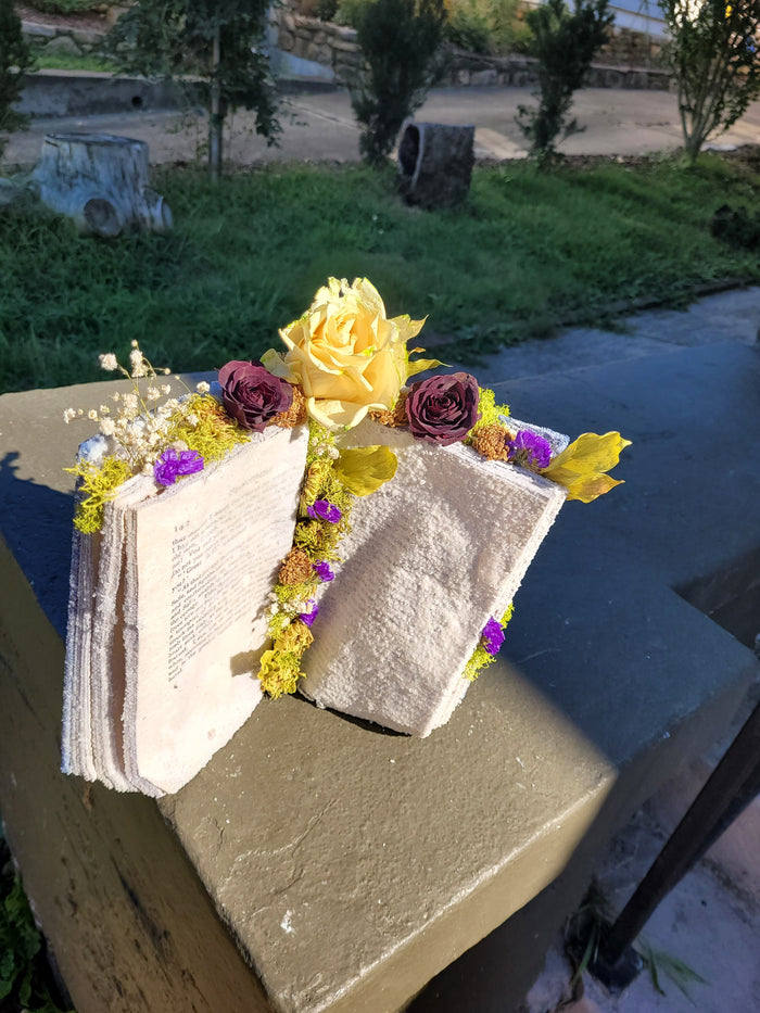 Crystallized Book- Frankenstein