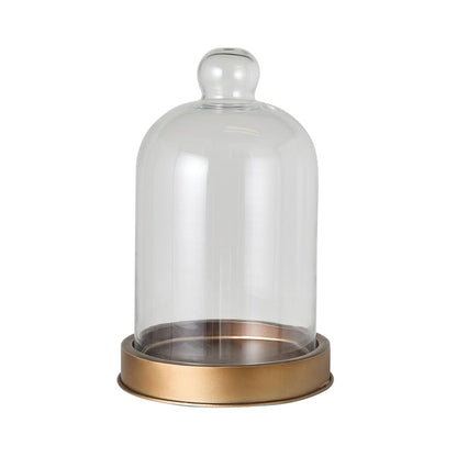 Darwin Glass Cloche