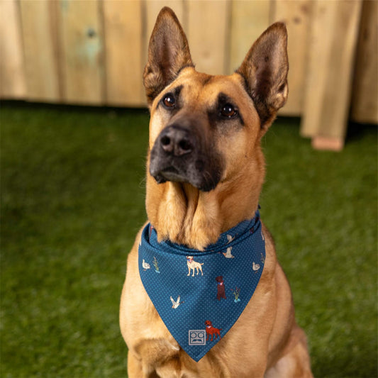 RSVLTS RSVLTS Dog Bandana Duck, Duck, Dog! – Dog Bandana Duck, Duck, Dog! – Dog Bandana