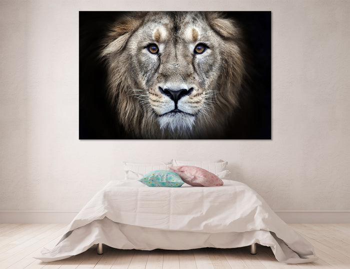 Good lion Canvas Print #8092