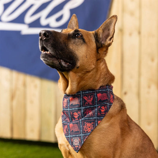RSVLTS RSVLTS Dog Bandana Grillaxin’ – Dog Bandana Grillaxin’ – Dog Bandana