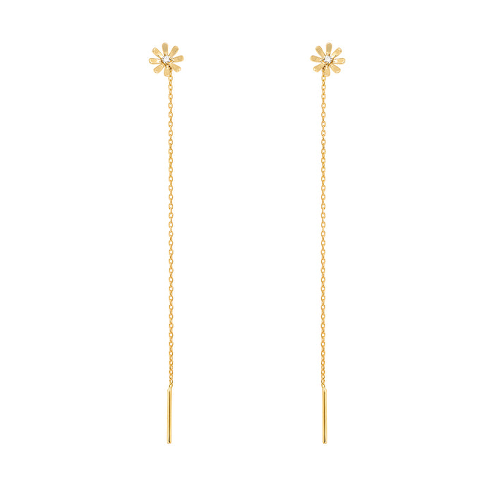Hanging Daisies