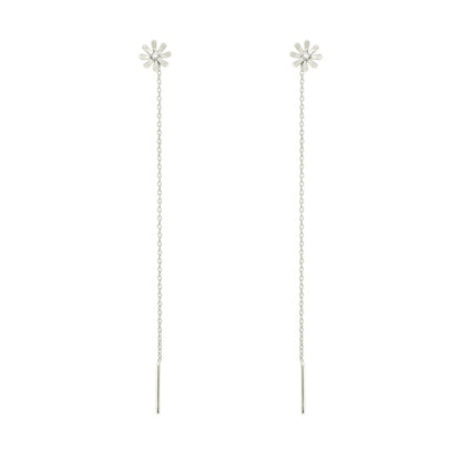 Hanging Daisies