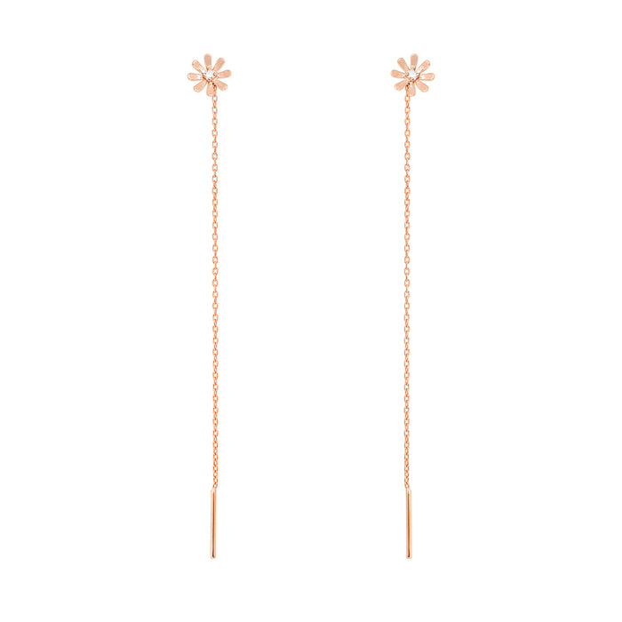 Hanging Daisies