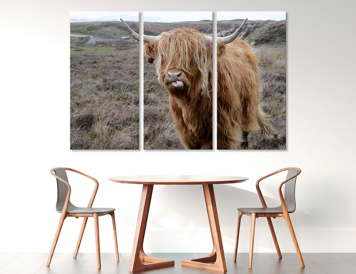 Highland Cow Canvas Art