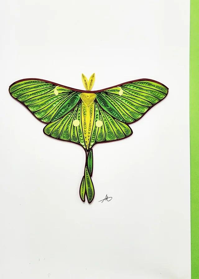 Moth