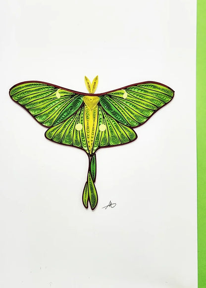 Moth