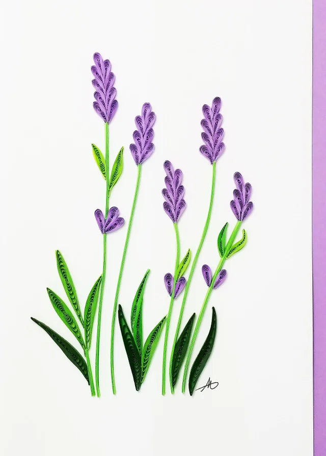 Lavendar