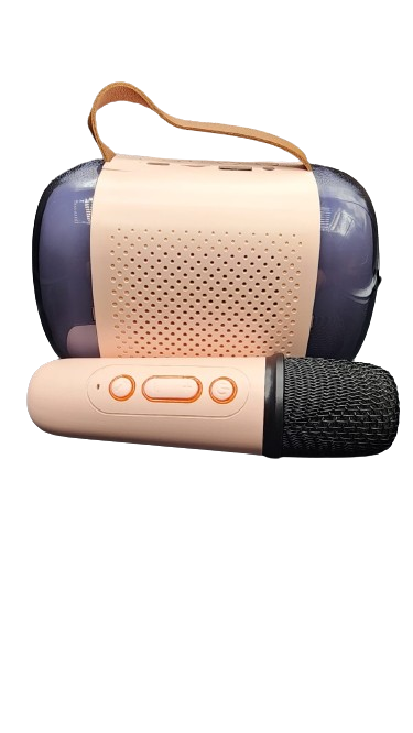 KTV Bluetooth Speaker Karaoke Set