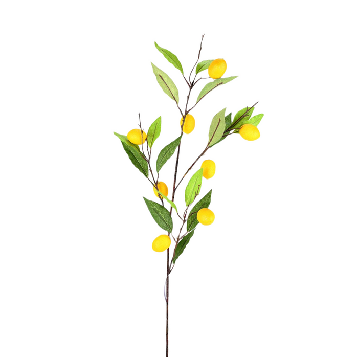 Lemon Branch