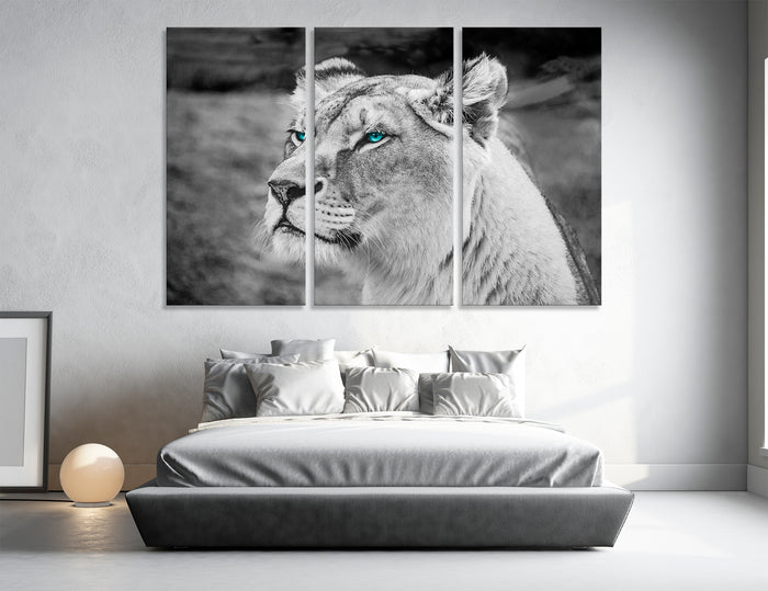Lioness Canvas Print #8102