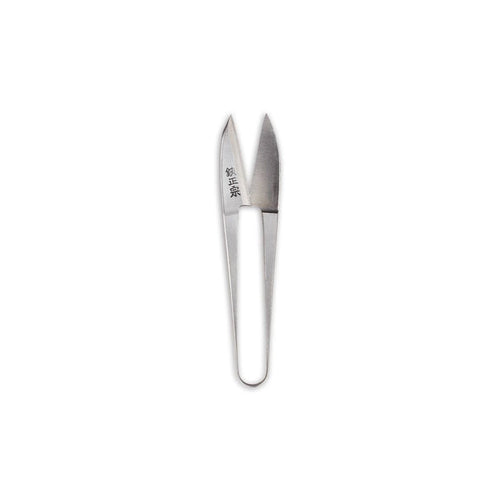 Small stainless steel gardening snips on white background