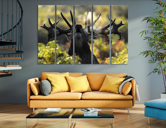 Moose Photos Canvas Print #8113