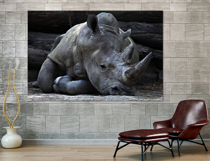 Rhinoceros Canvas Print #8081