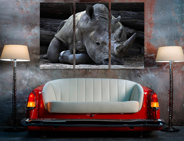 Rhinoceros Canvas Print #8081