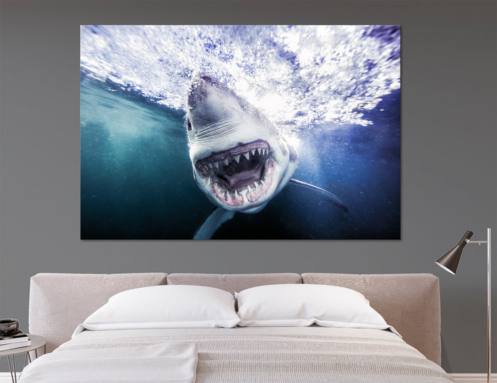 Shark Grin Canvas Print #8106