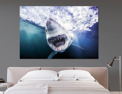Shark Grin Canvas Print #8106