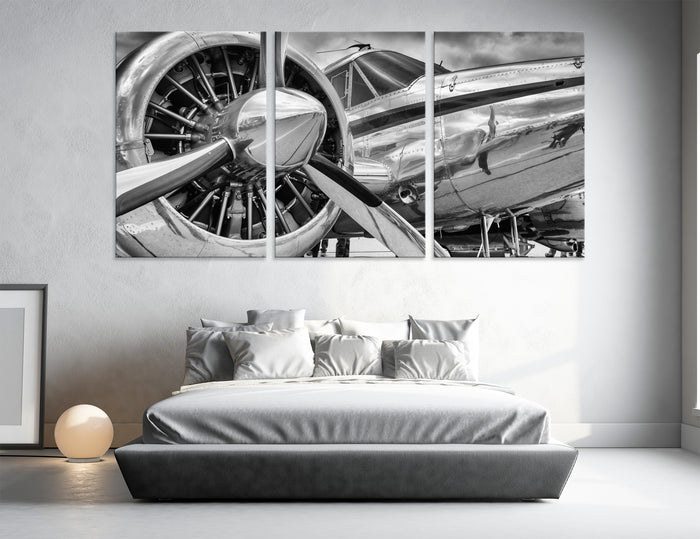 Silver Plane Poster Set