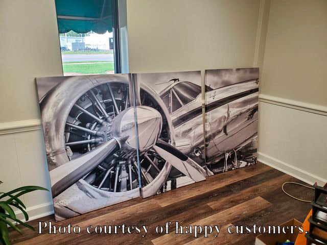 Silver Plane Canvas Print #3176