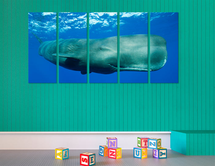Sperm Whale Canvas Print #8142