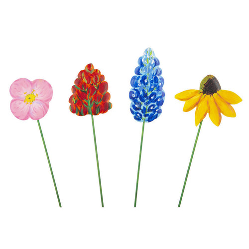 Texas Wildflowers